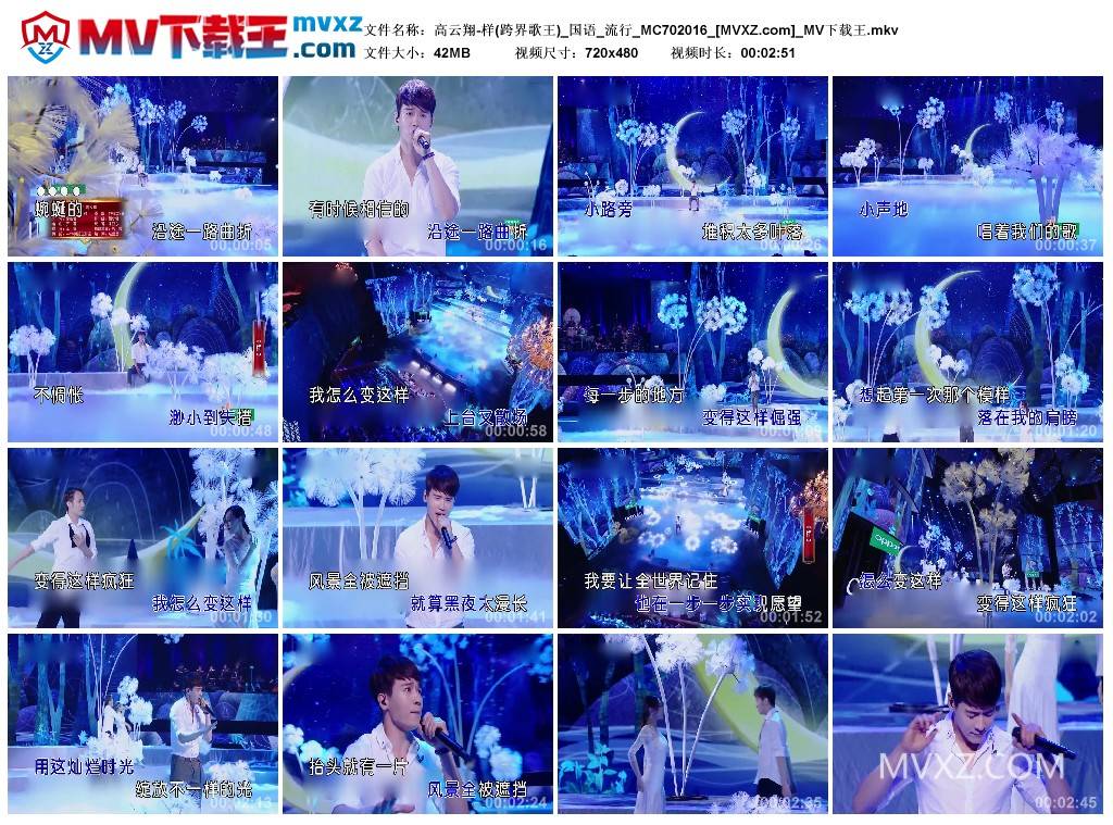 高云翔-样(跨界歌王)_国语_流行_MC702016